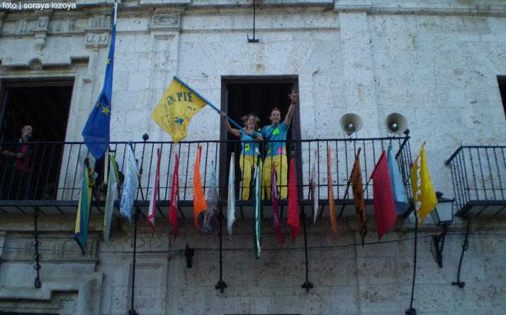 foto de los novillos