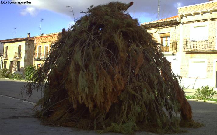 foto de virgen de los pegotes