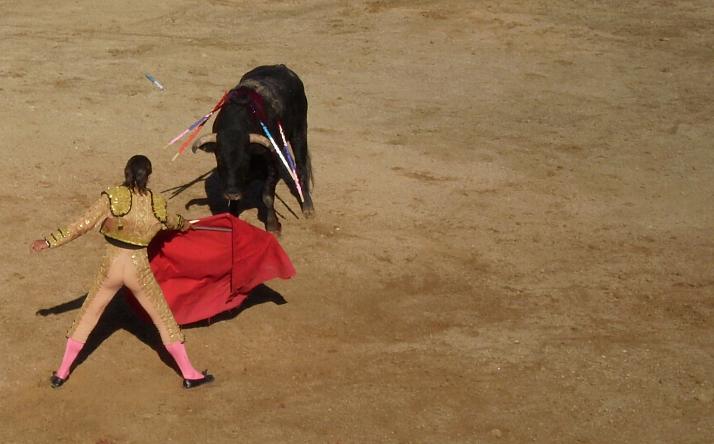 foto de Miscel�nea