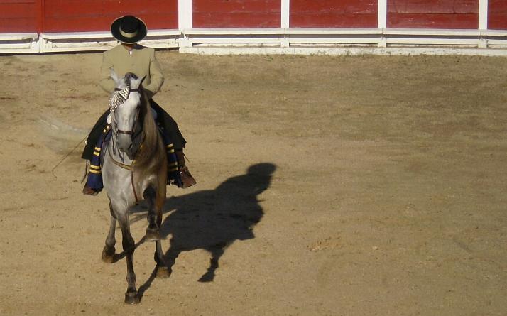 foto de Miscel�nea