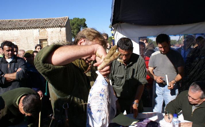 foto de Miscel�nea