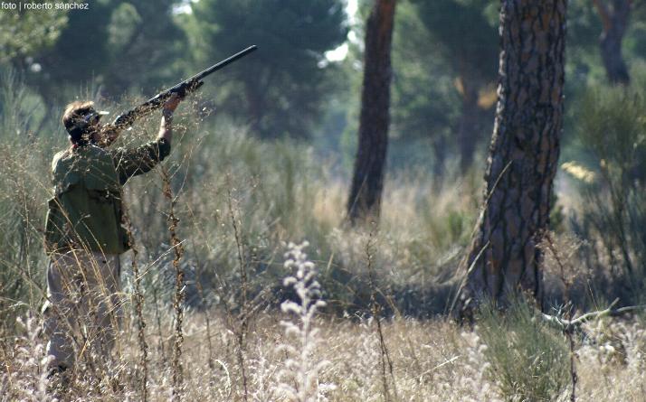 foto de Miscel�nea