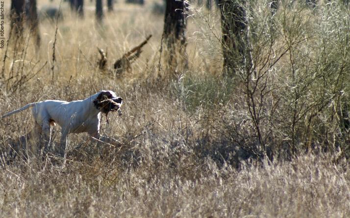 foto de Miscel�nea