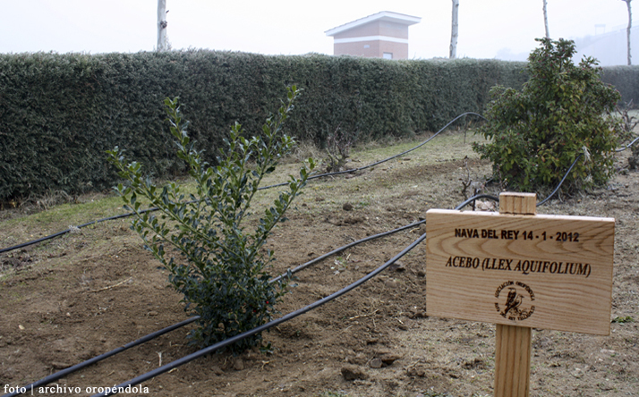 foto de asociaci�n orop�ndola