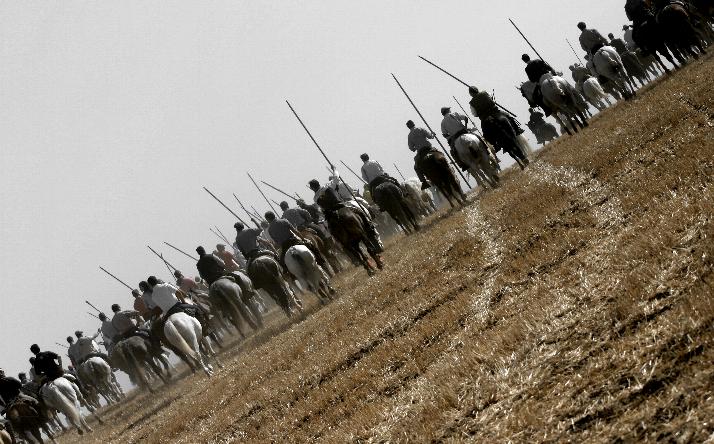 foto de los novillos