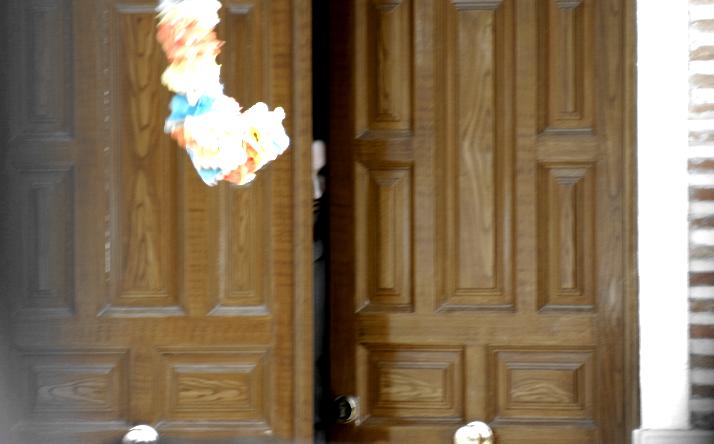 foto de los novillos