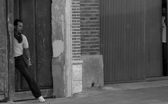 foto de los novillos