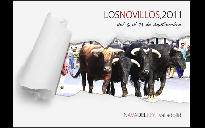 foto de los novillos