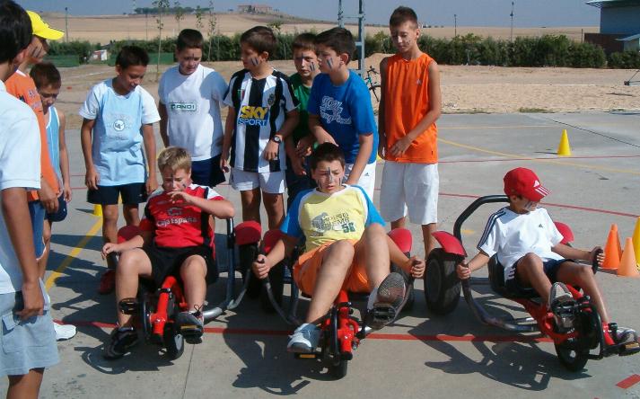 foto de los novillos