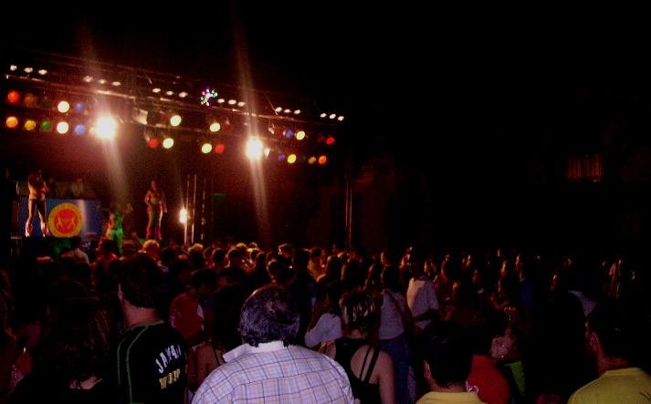 foto de los novillos