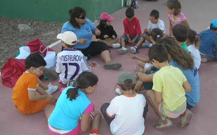 foto de los novillos