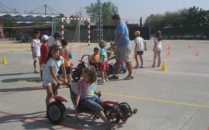foto de los novillos