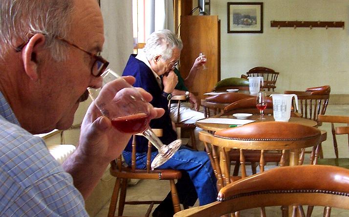 foto de los novillos