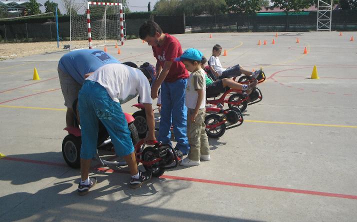 foto de los novillos