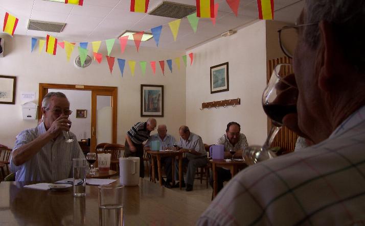 foto de los novillos