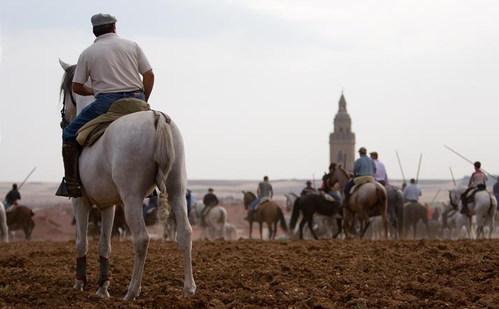 foto de los novillos