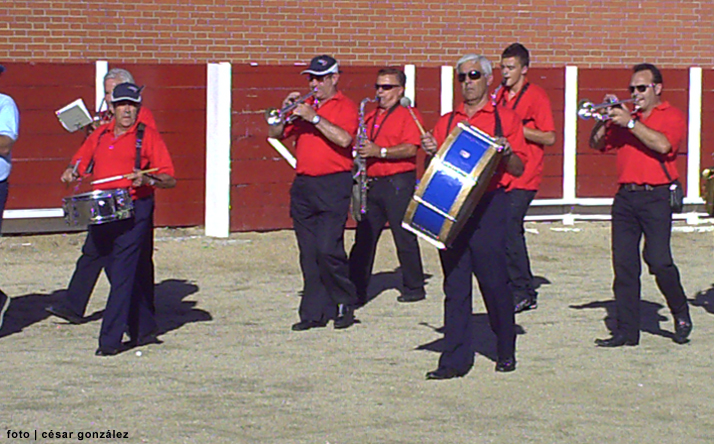 foto de los novillos