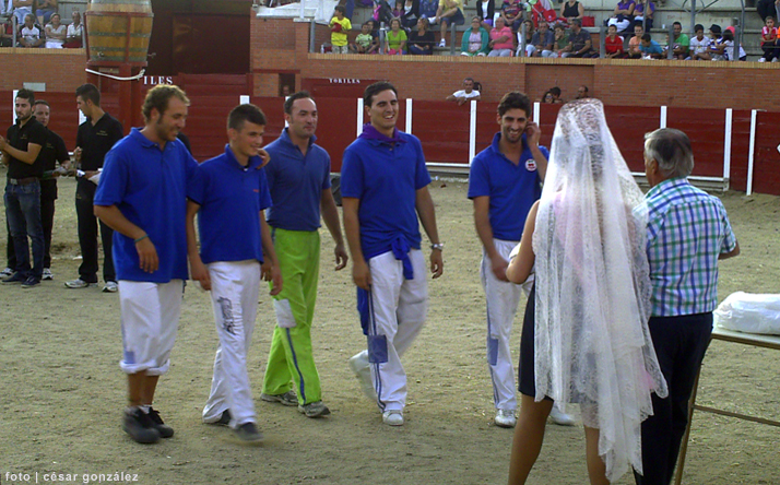 foto de los novillos