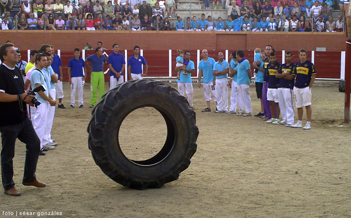 foto de los novillos