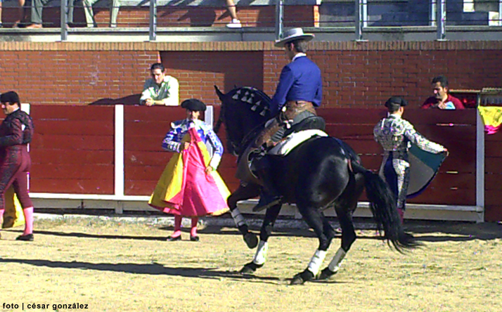 foto de los novillos