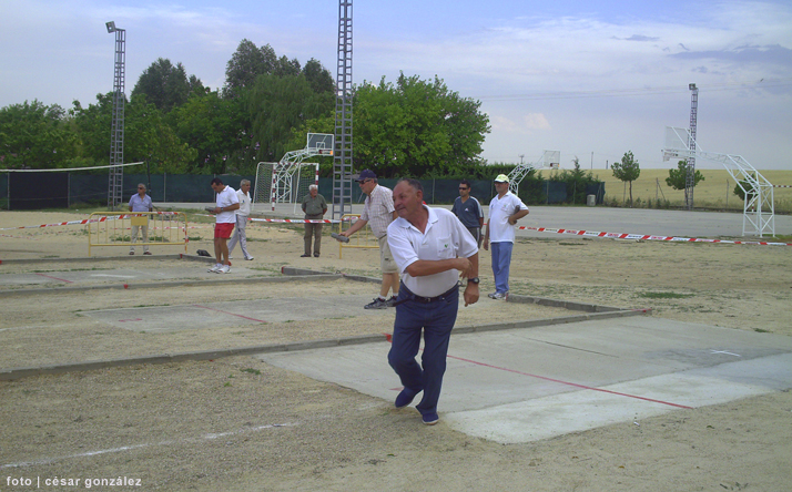 foto de los novillos