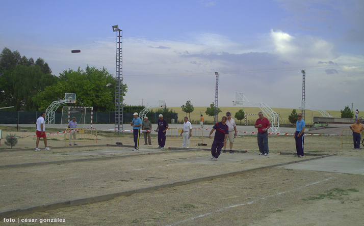 foto de los novillos