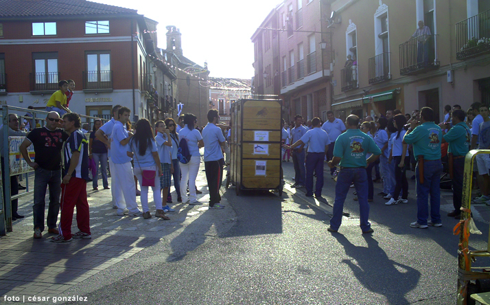 foto de los novillos