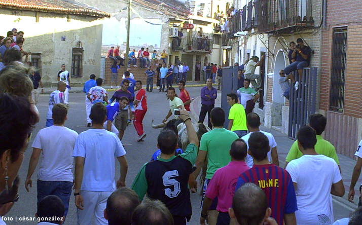 foto de Toro de la Nava