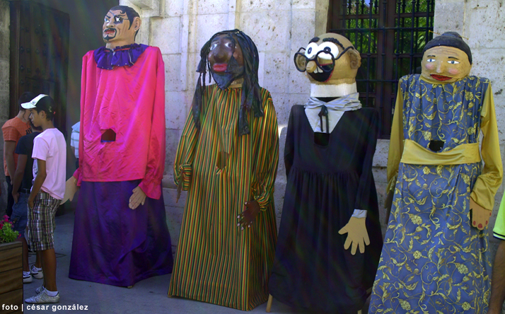 foto de los novillos