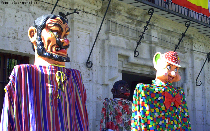 foto de los novillos