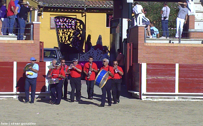 foto de los novillos