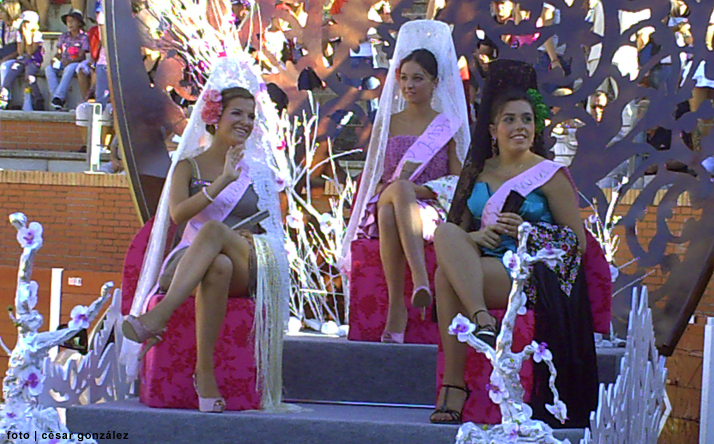 foto de los novillos