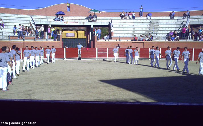 foto de los novillos