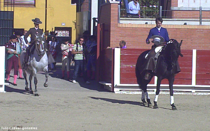 foto de los novillos