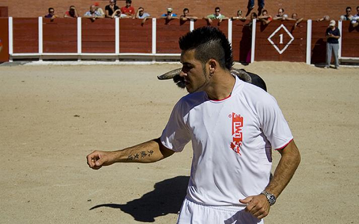 foto de los novillos