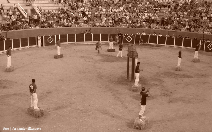 foto de los novillos