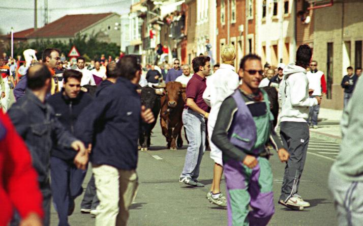 foto de los novillos