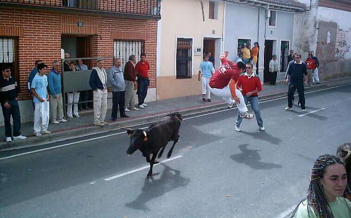 foto de los novillos