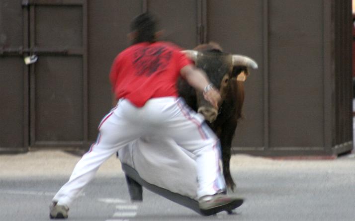 foto de los novillos