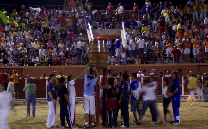 foto de los novillos