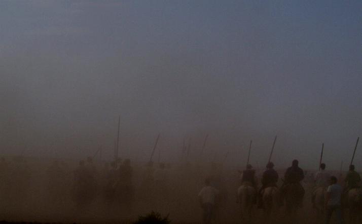 foto de los novillos