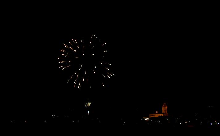 foto de los novillos