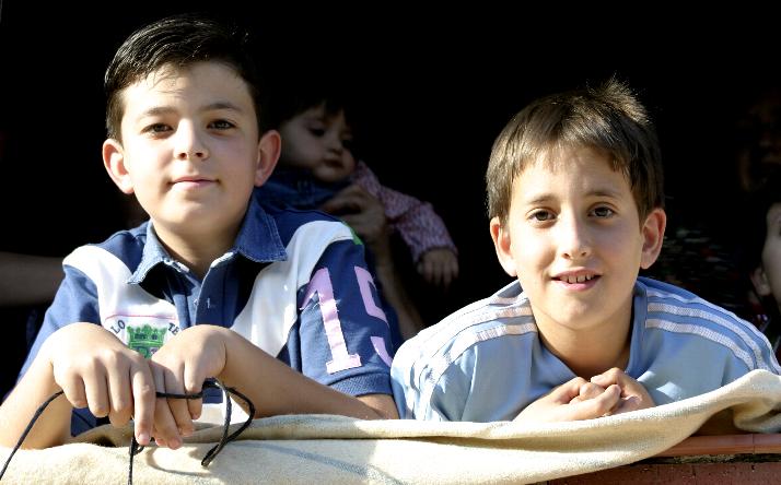 foto de los novillos