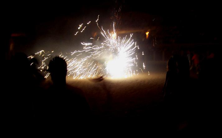 foto de los novillos