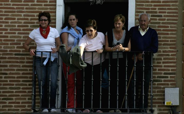 foto de los novillos