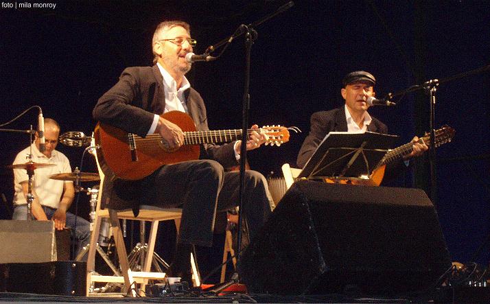 foto de los novillos