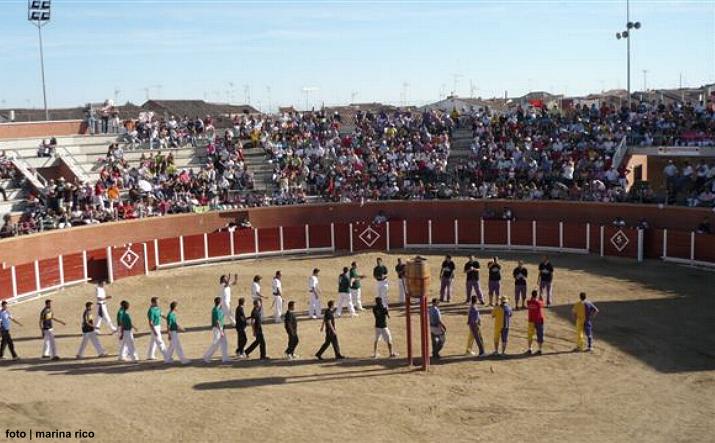 foto de los novillos