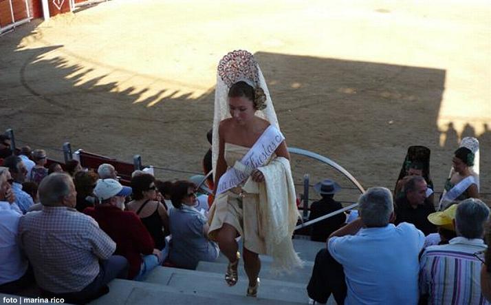 foto de los novillos