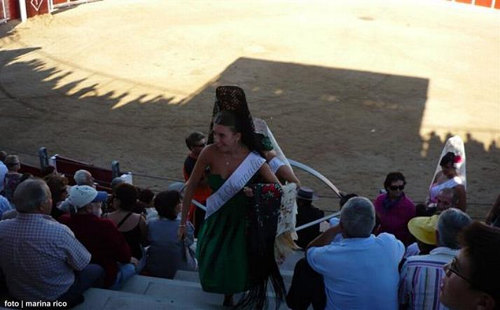 foto de los novillos