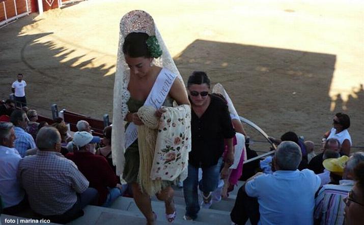 foto de los novillos